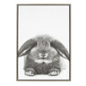Sylvie Rabbit Framed Canvas by Simon Te of Tai Prints