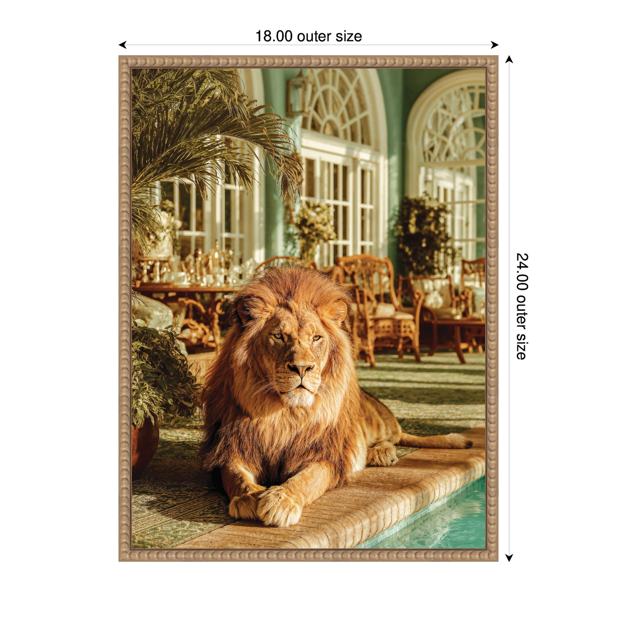 Majestic Lion by the Pool  by Michael Schauer Framed Canvas Wall Art Print