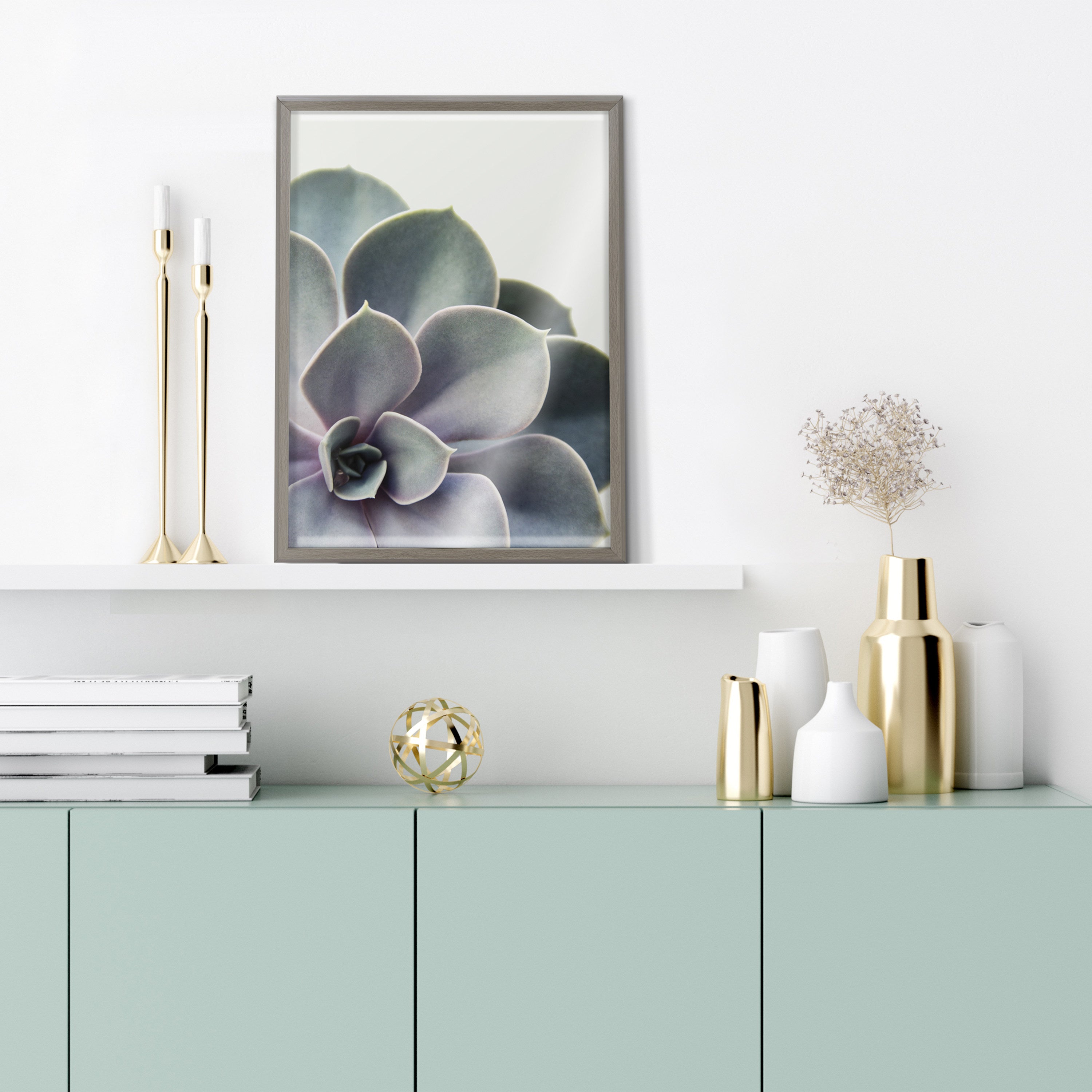 Blake Succulent 5 Framed Printed Glass by Emiko and Mark Franzen of F2Images