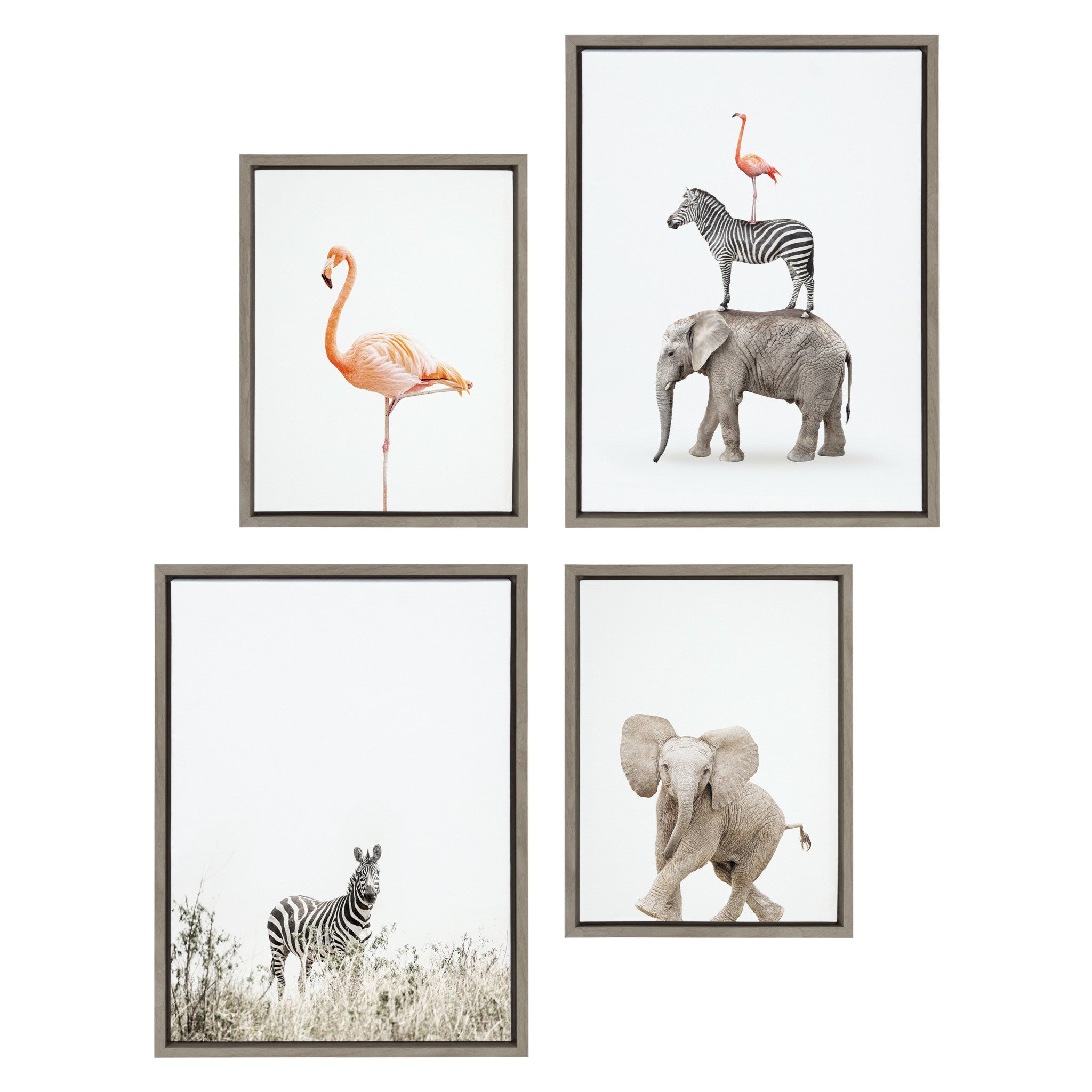 Sylvie Zebra in Tall Grass, Flamingo Standing, Baby Elephant Walk and Stacked Safari Animals Framed Canvas Art Set by Amy Peterson Art Studio