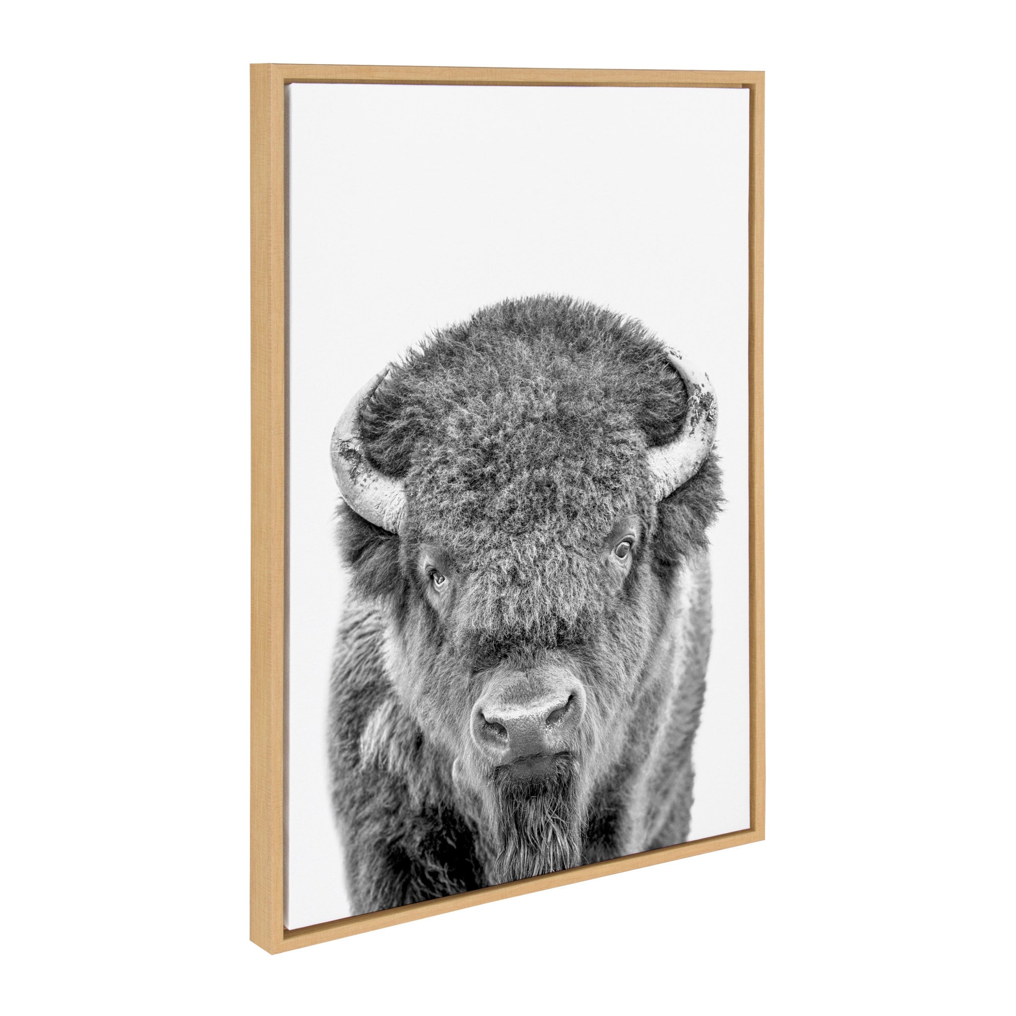 Sylvie Sylvie Bison Portrait Black and White, Stag Profile, and Moose Framed Canvas Art Set by Amy Peterson Art Studio