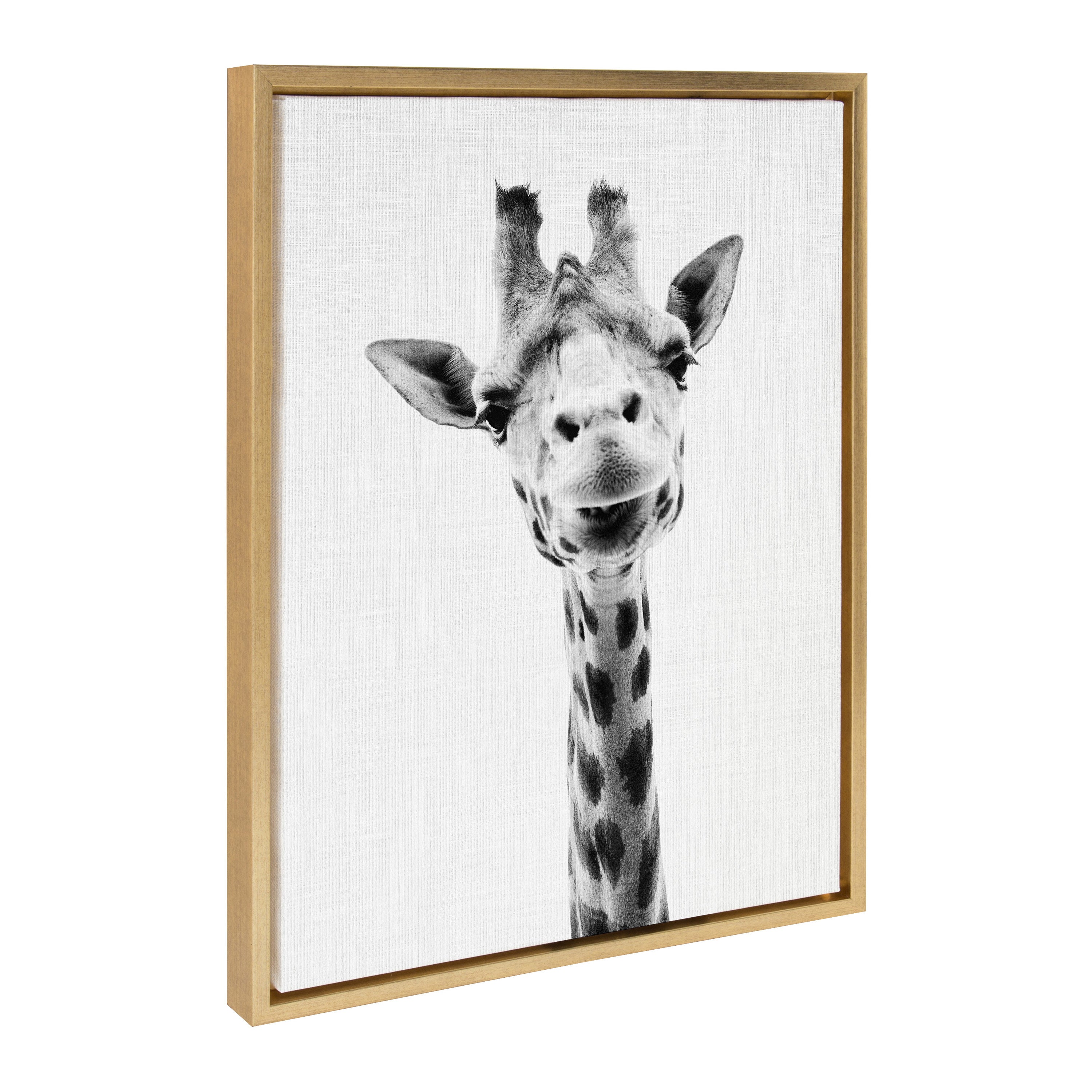 Framed Canvas Sylvie Bright Gold 18x24 2