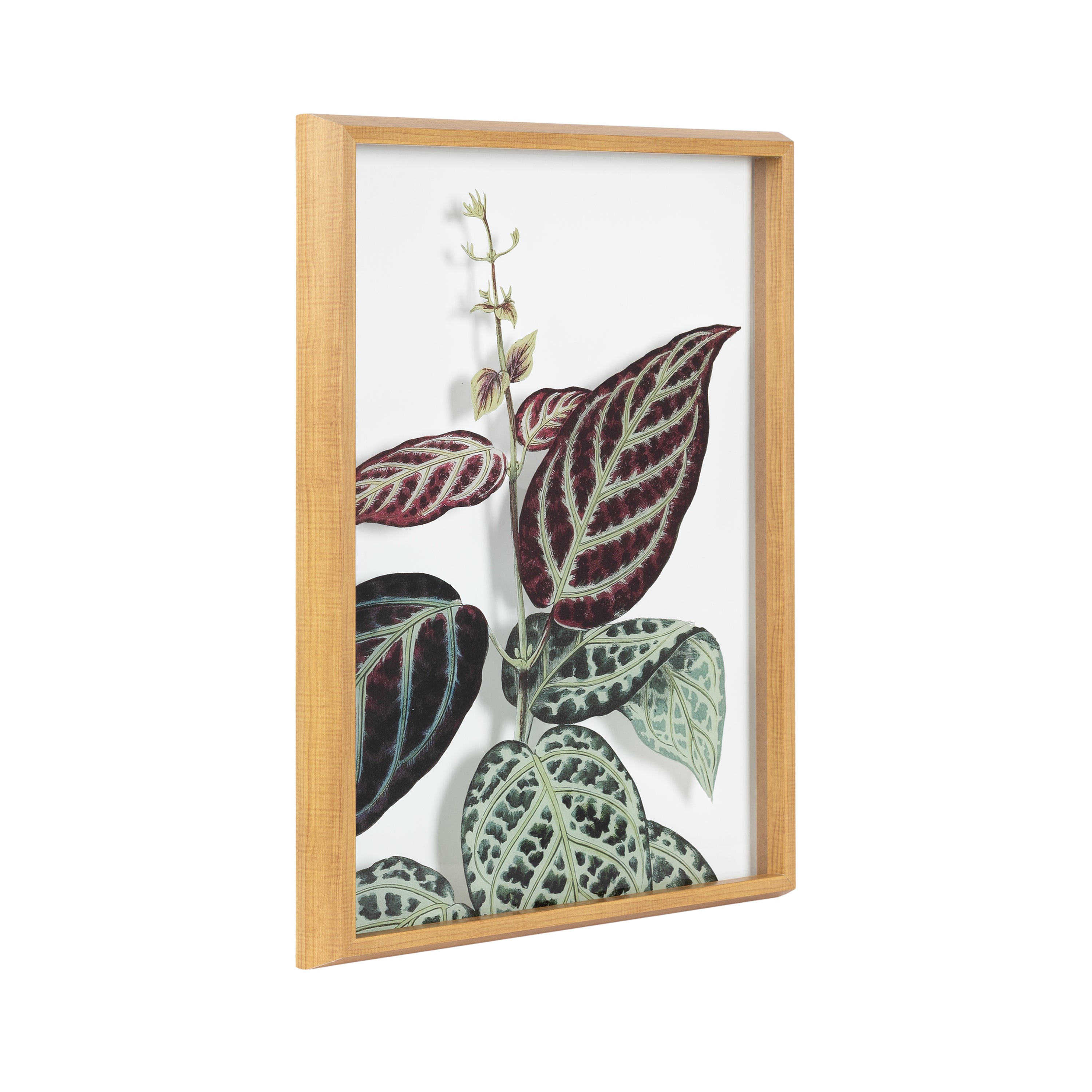 Framed Printed Art 18x24 Blake Natural 1