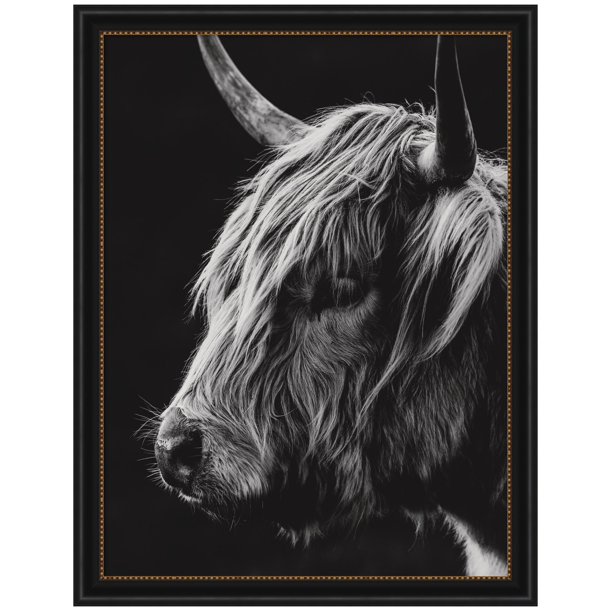 Scottish Highland Vertical by Crystal Lynn Collins Framed Wall Art Print