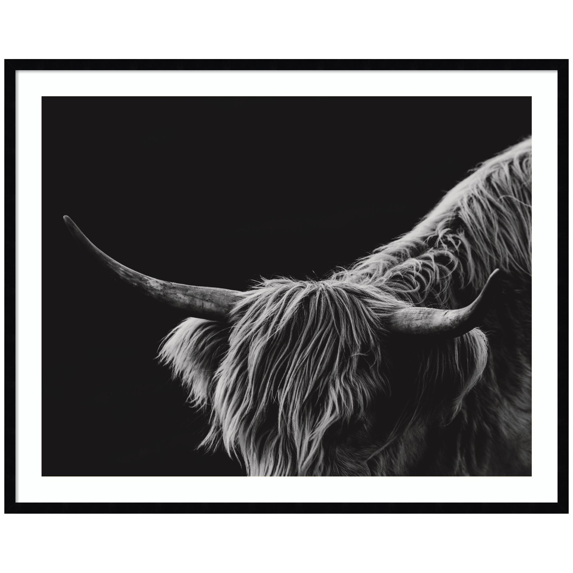 Scottish Highland No. 6 by Crystal Lynn Collins Framed Wall Art Print