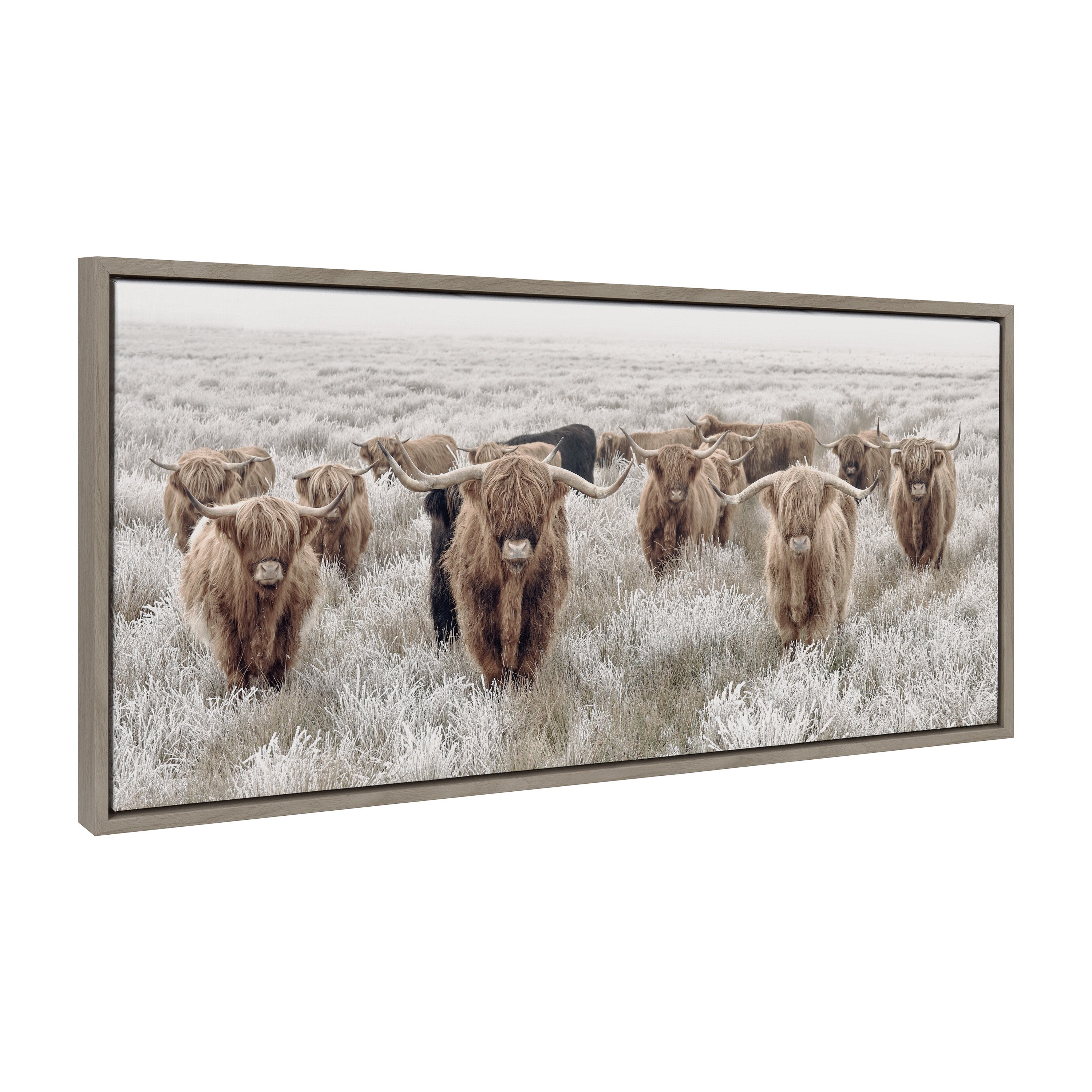 Framed Canvas Sylvie Graywash 18x40 1