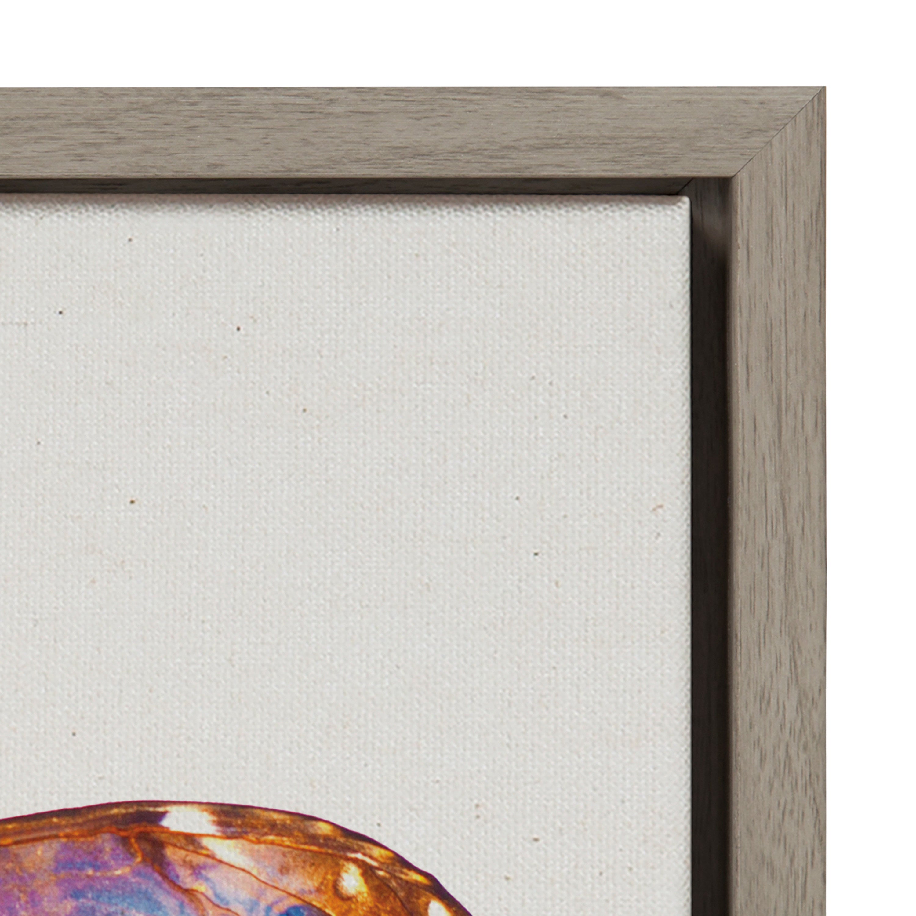 Sylvie Coppertop Butterfly Framed Canvas by Robert Cadloff of Bomobob