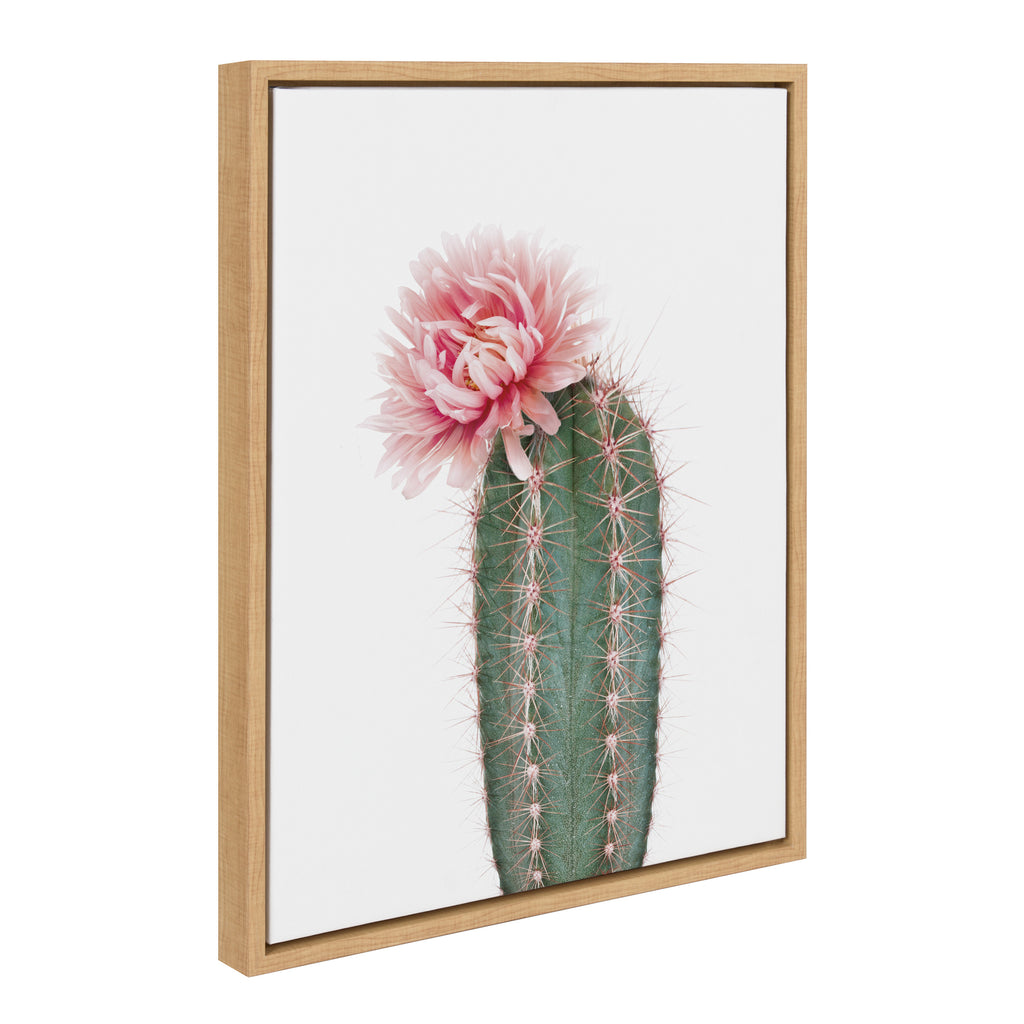 Kate and Laurel Sylvie Pink Cactus Flower Framed Canvas Wall Art by Amy  Peterson Art Studio, 28x38 Natural, Desert Cactus Floral Photo Art for Wall  – kateandlaurel