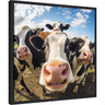 Funny Cow Selfie by The Creative Bunch Studio