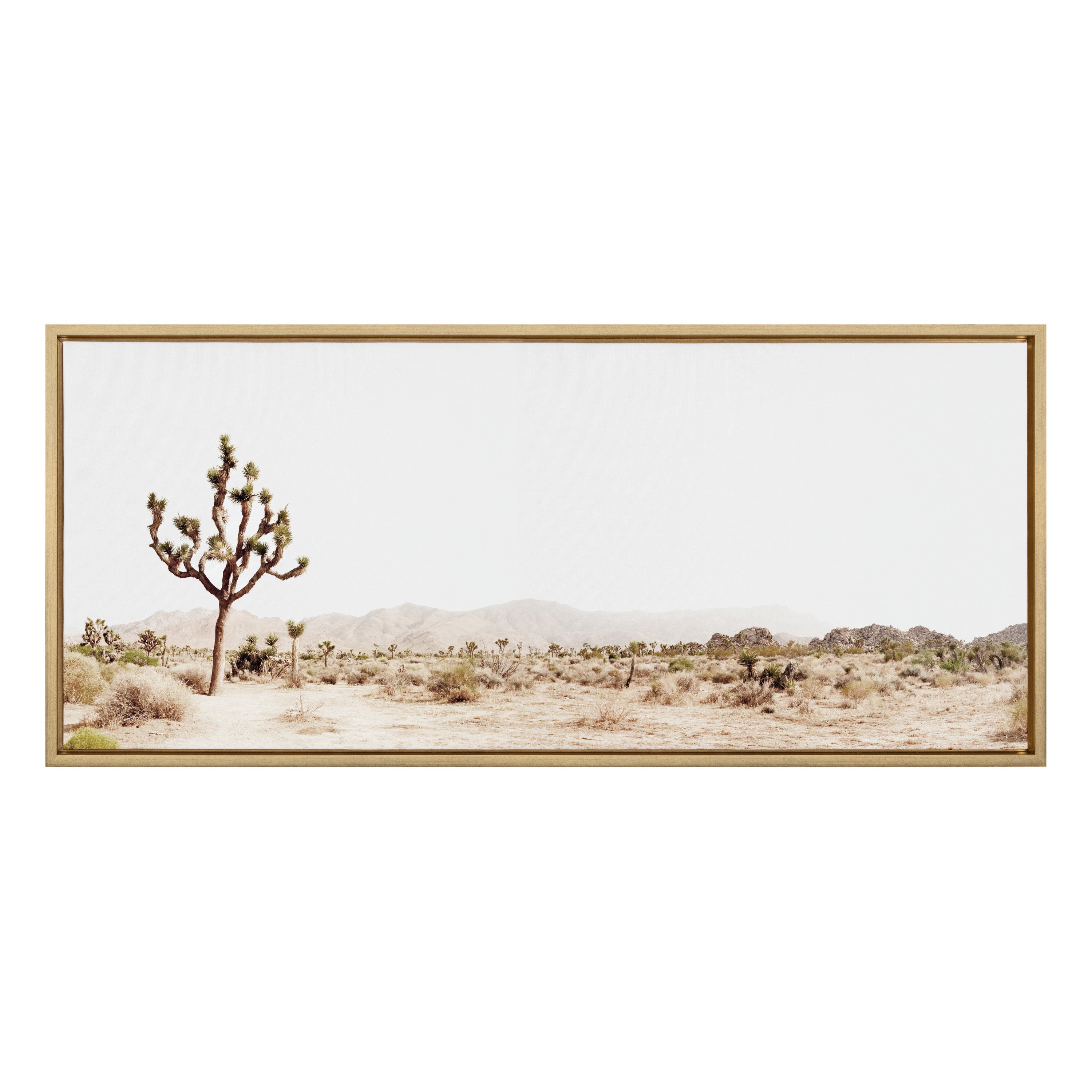Framed Canvas Sylvie Bright Gold 18x40 2