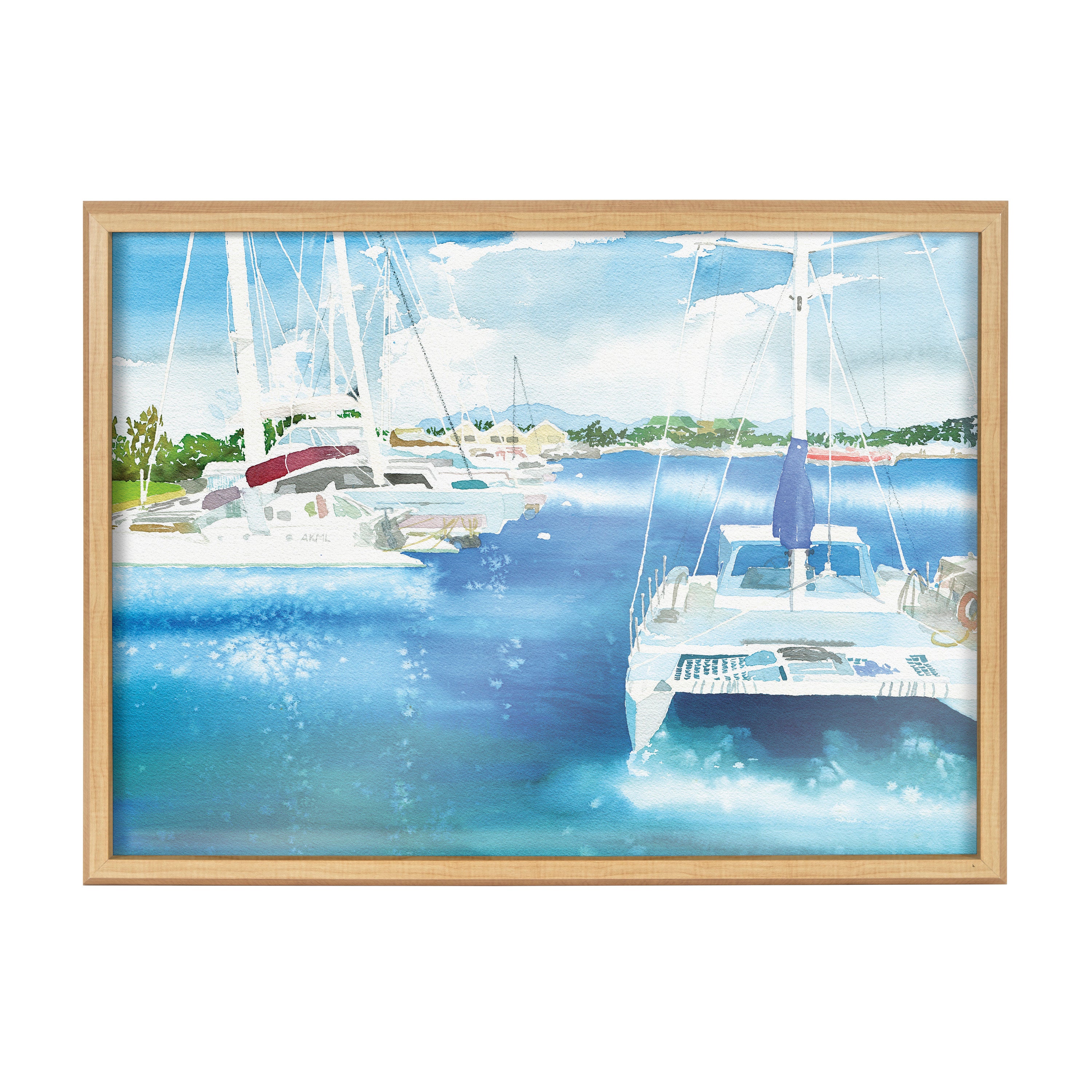 Blake Summer is for Sailing Framed Printed Glass by Janet Meinke-Lau