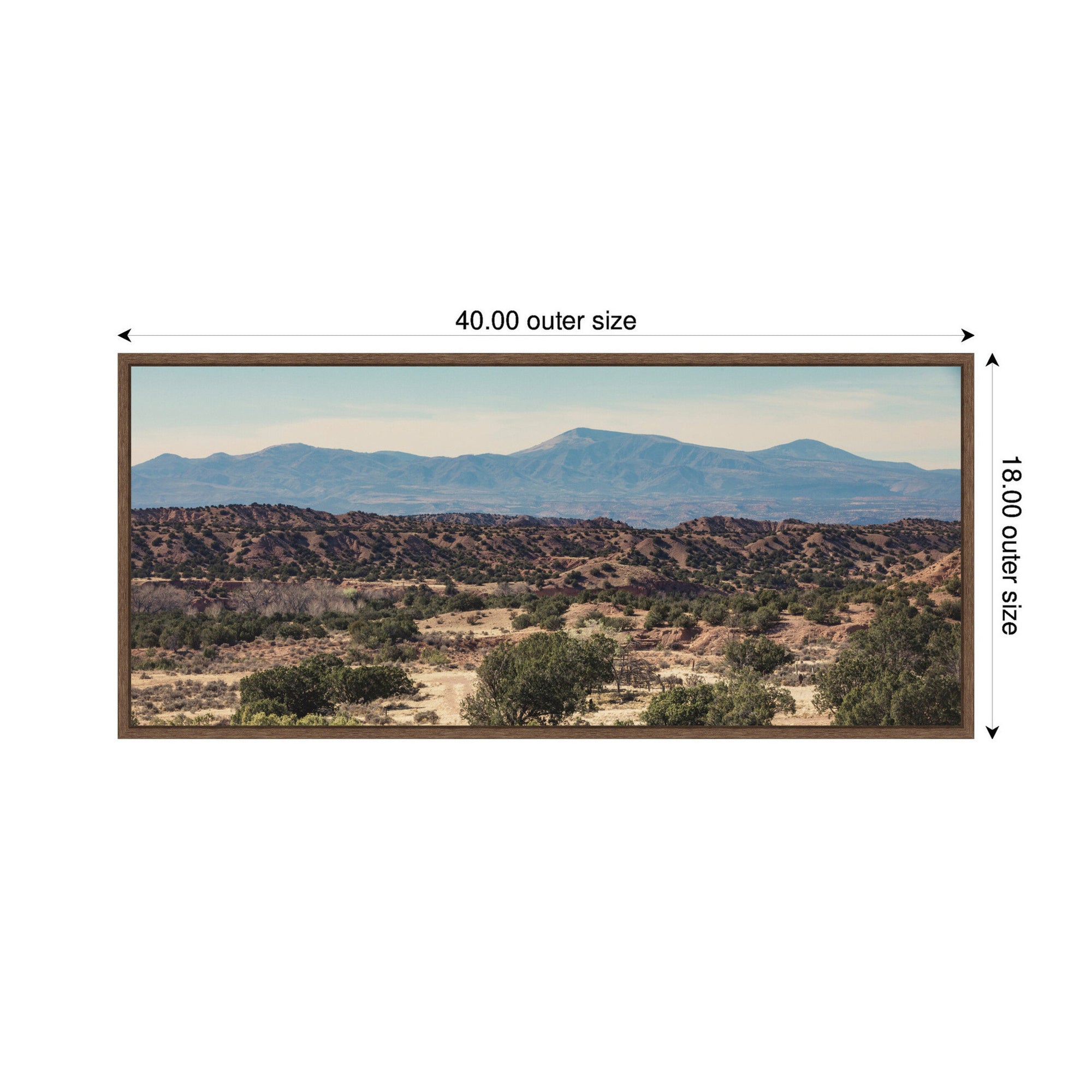 Framed Canvas Sylvie Walnut 40x18 2