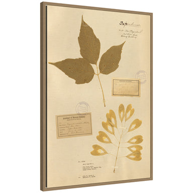 Framed Canvas 23x33 Sylvie Dark Gold 1