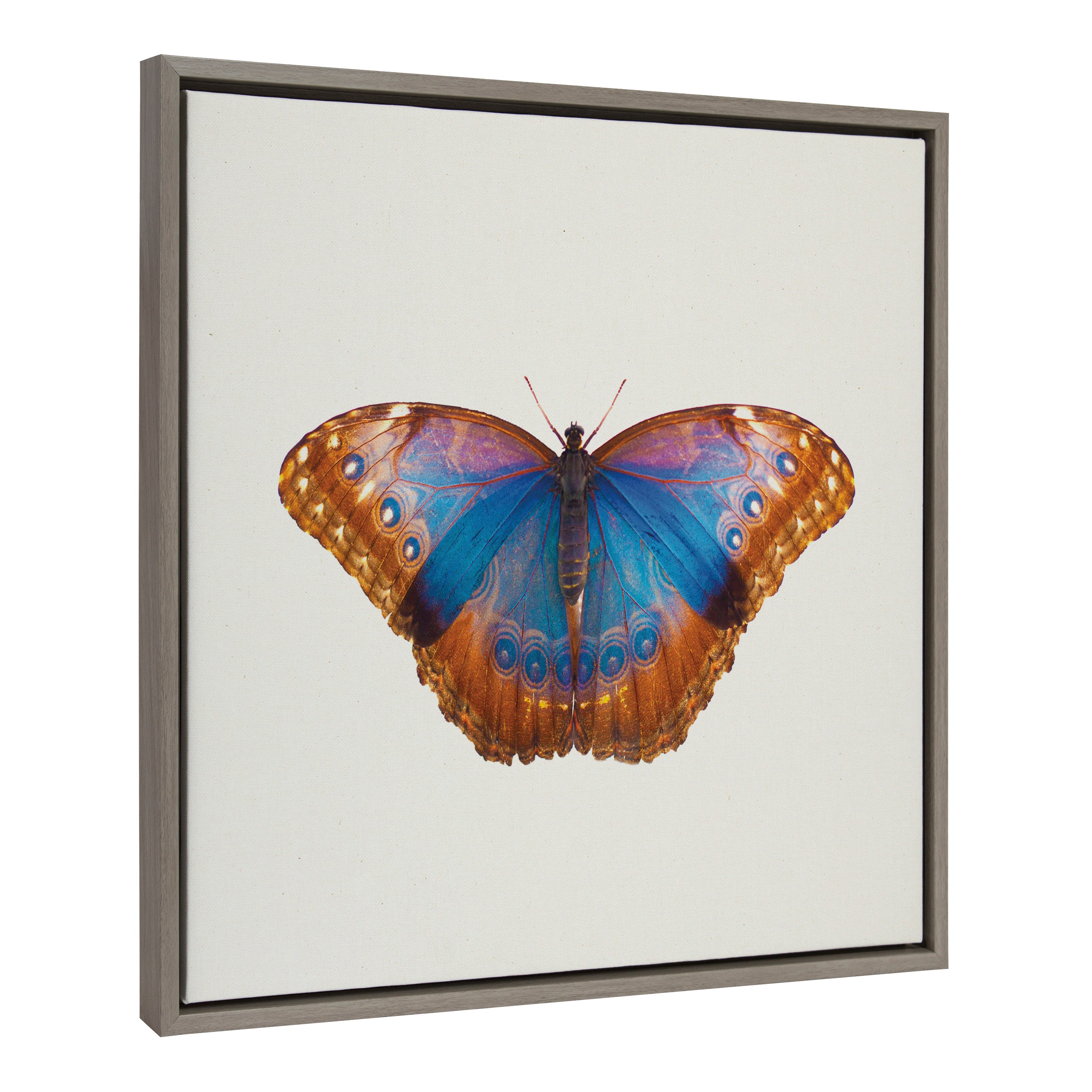 Sylvie Coppertop Butterfly Framed Canvas by Robert Cadloff of Bomobob