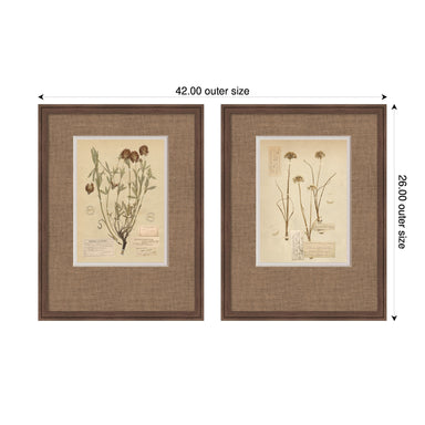 Framed Art Set 2 Piece Set 19x25 Florence Medium Brown 2
