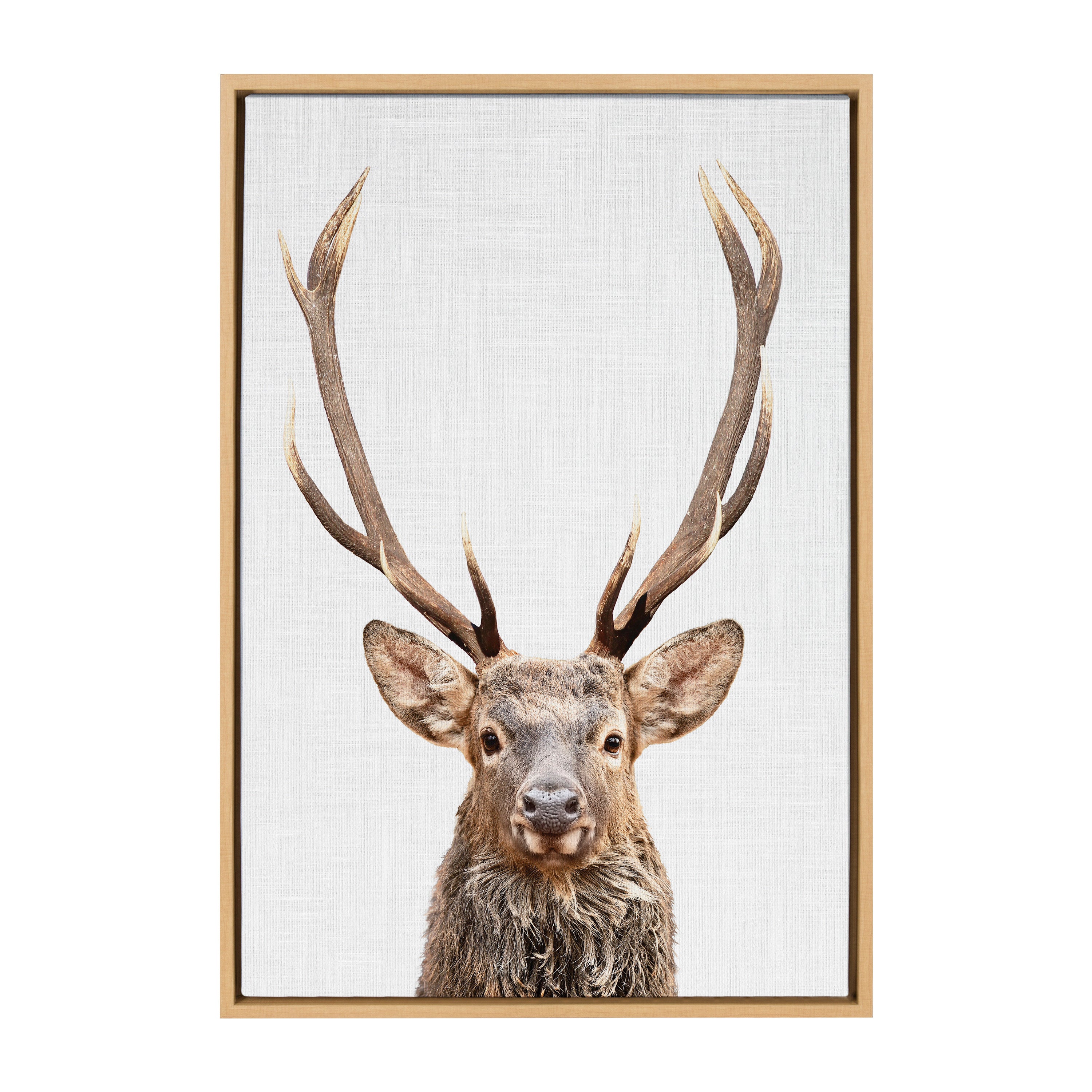 Sylvie The Red Deer Color Framed Canvas by Simon Te of Tai Prints