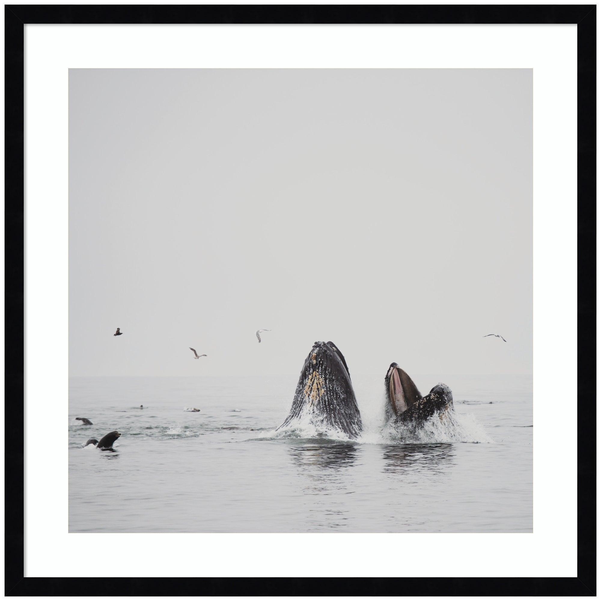 Framed Art Svelte Noir Black 25x25 1