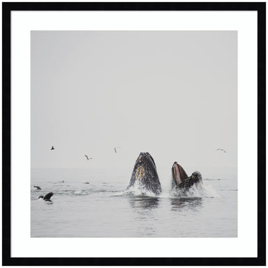 Framed Art Svelte Noir Black 25x25 1