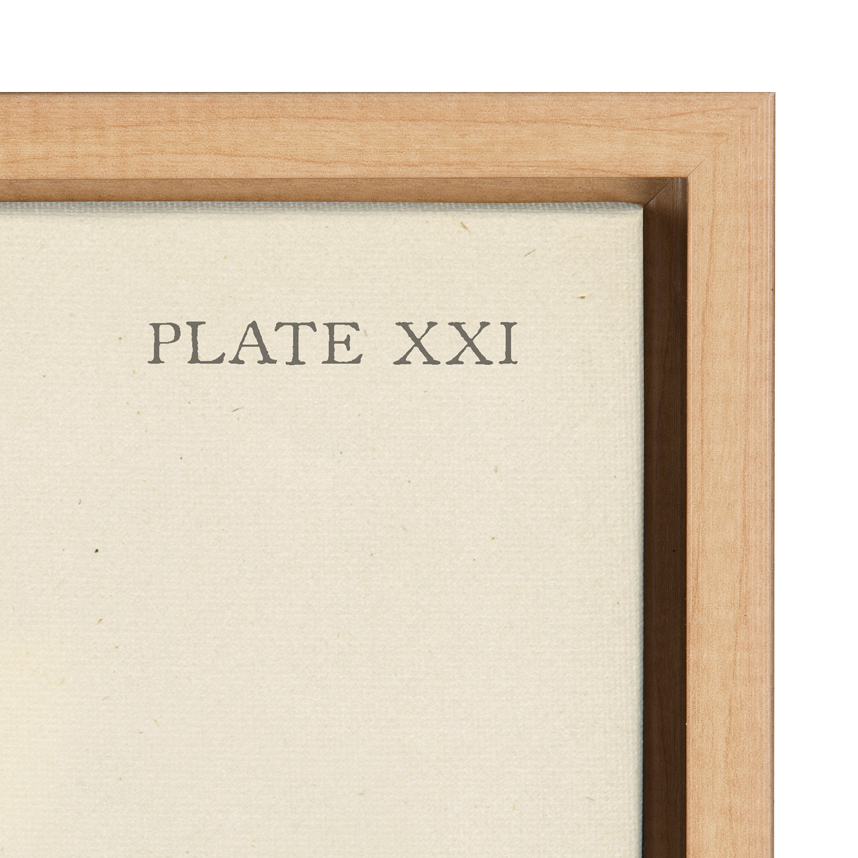 Art Set 2 Piece Set 18x24 Sylvie Natural 3