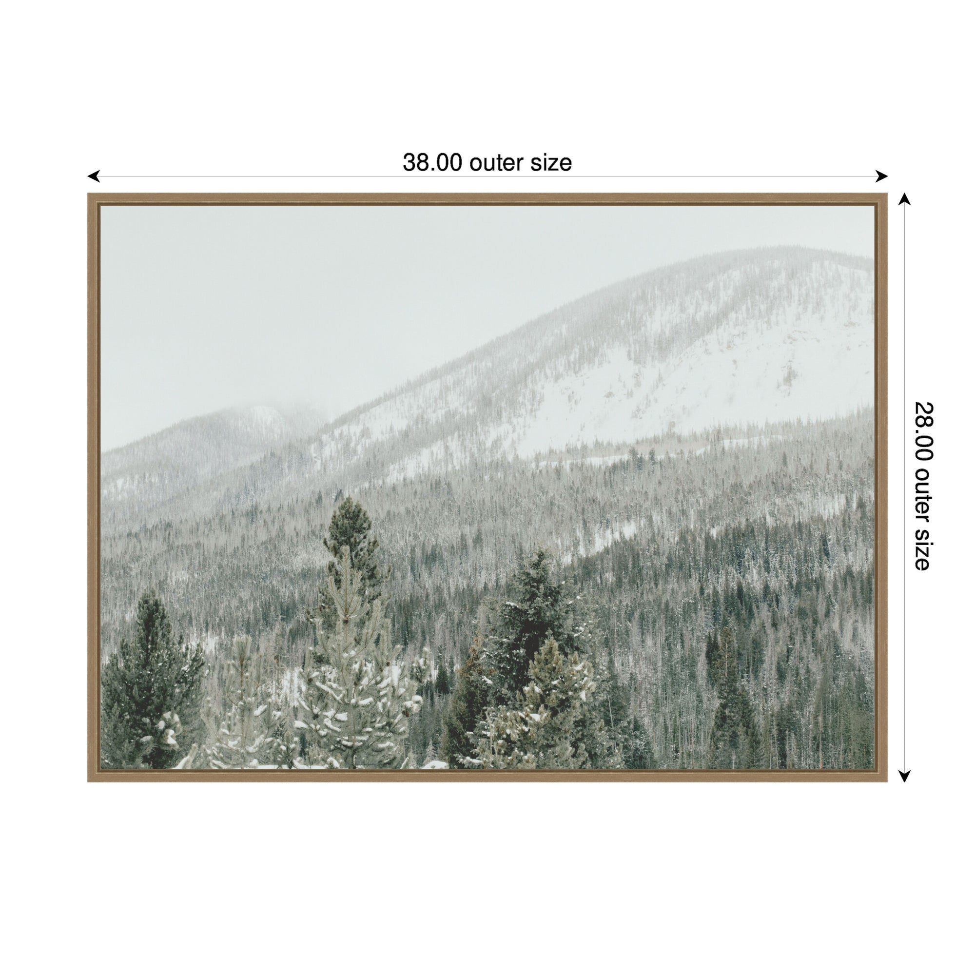 Framed Canvas Sylvie Dark Gold 38x28 2