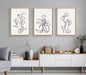 Framed Canvas Sylvie Natural 23x33 8