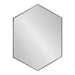 Hexagon Mirror Dark Silver 22x31 2