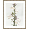 Framed Art Hosta by Alicia Abla