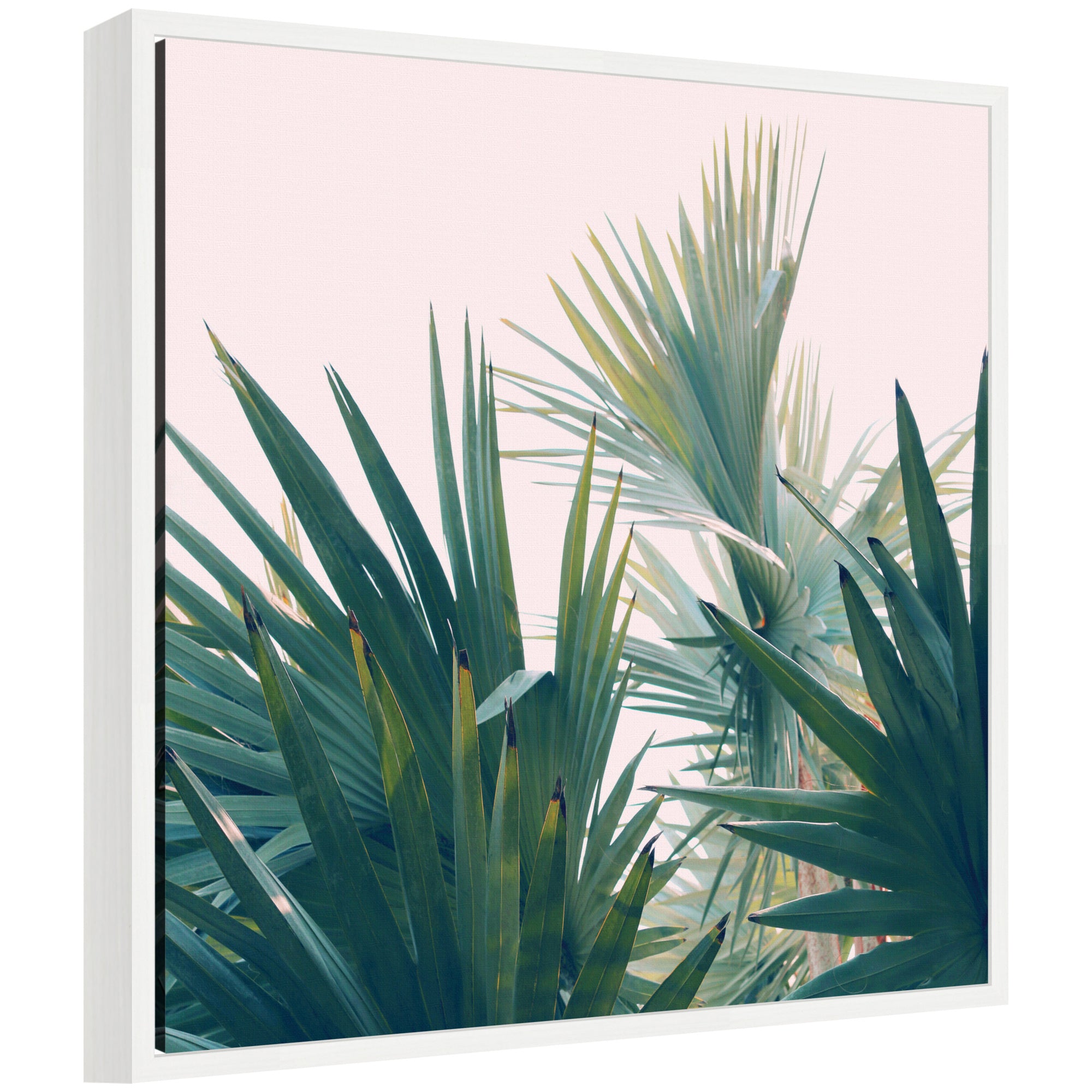 Framed Canvas 22 x 22 Sylvie White 1