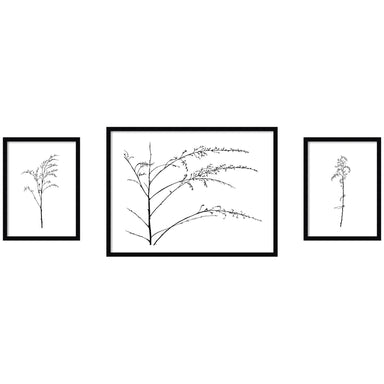 Framed Art Set 3 Piece Set 15x20/25x33 Svelte Noir Black 1