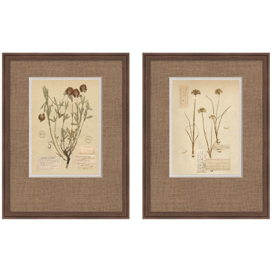Framed Art Set 2 Piece Set 19x25 Florence Medium Brown 1