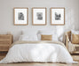 Wall Frame Brown 16x20 matted to 8x10 7
