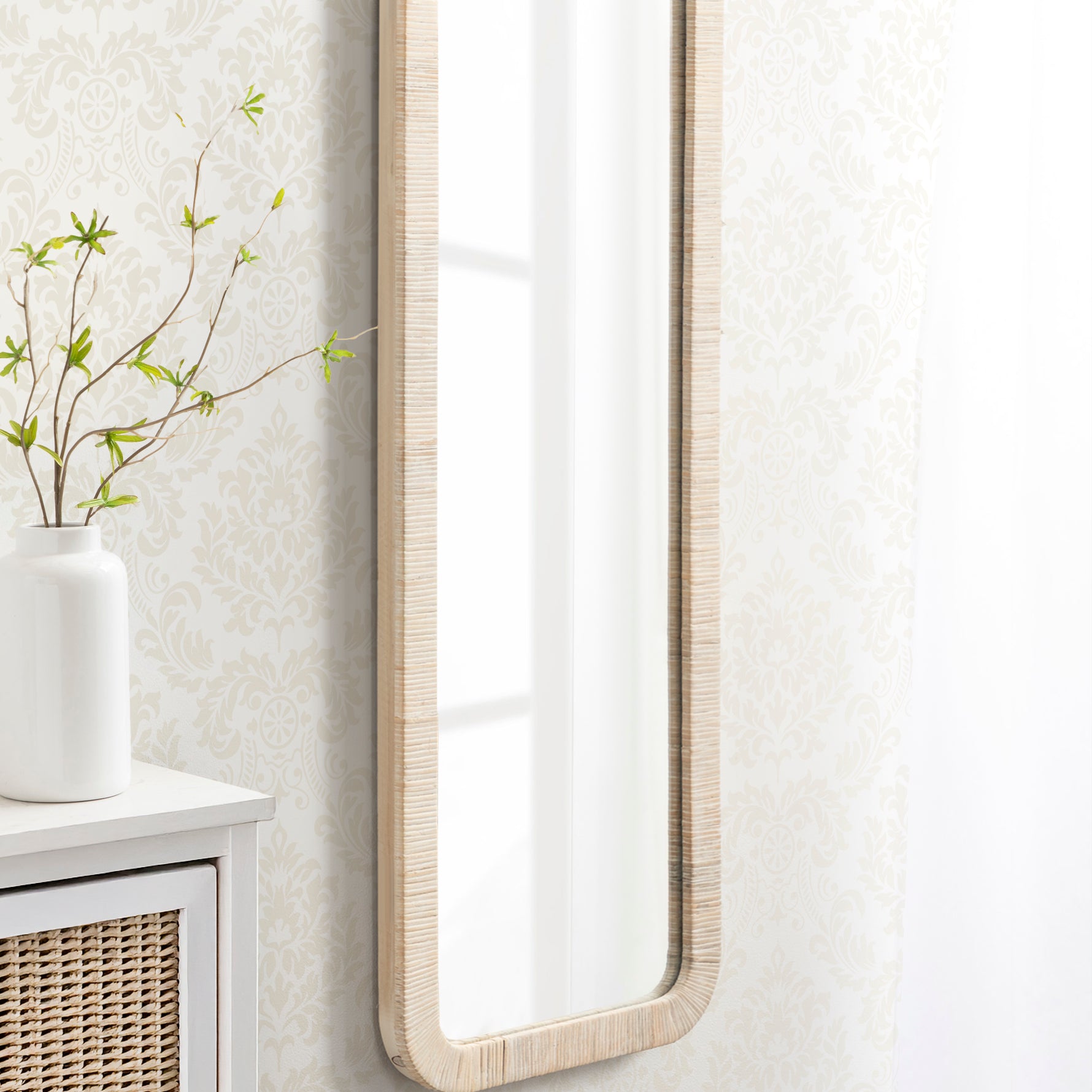 Full Length Mirror 18x48 White 7