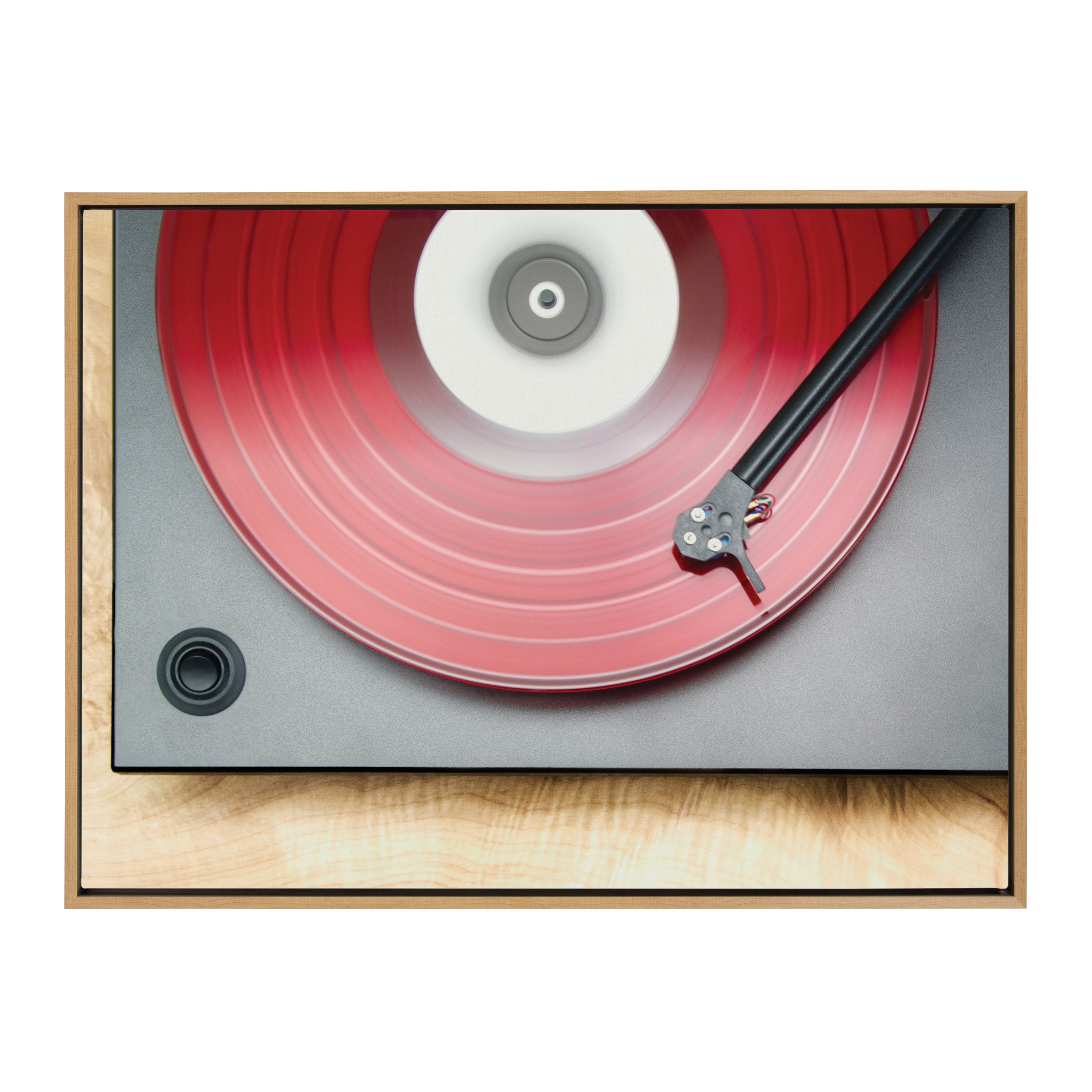 Sylvie Red Vinyl Framed Canvas by Emiko and Mark Franzen of F2Images