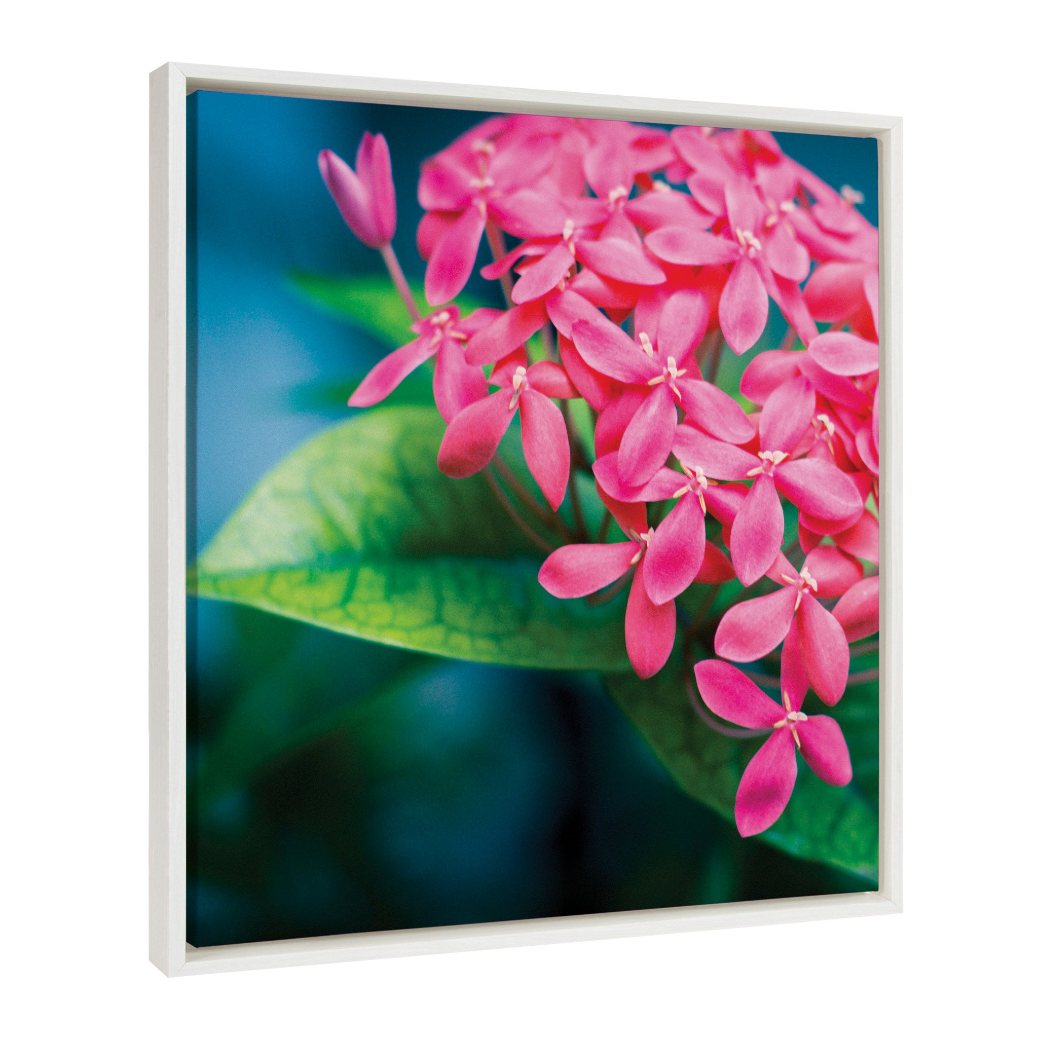 Sylvie Tropical Flower Blossom Framed Canvas by Stephanie Klatt