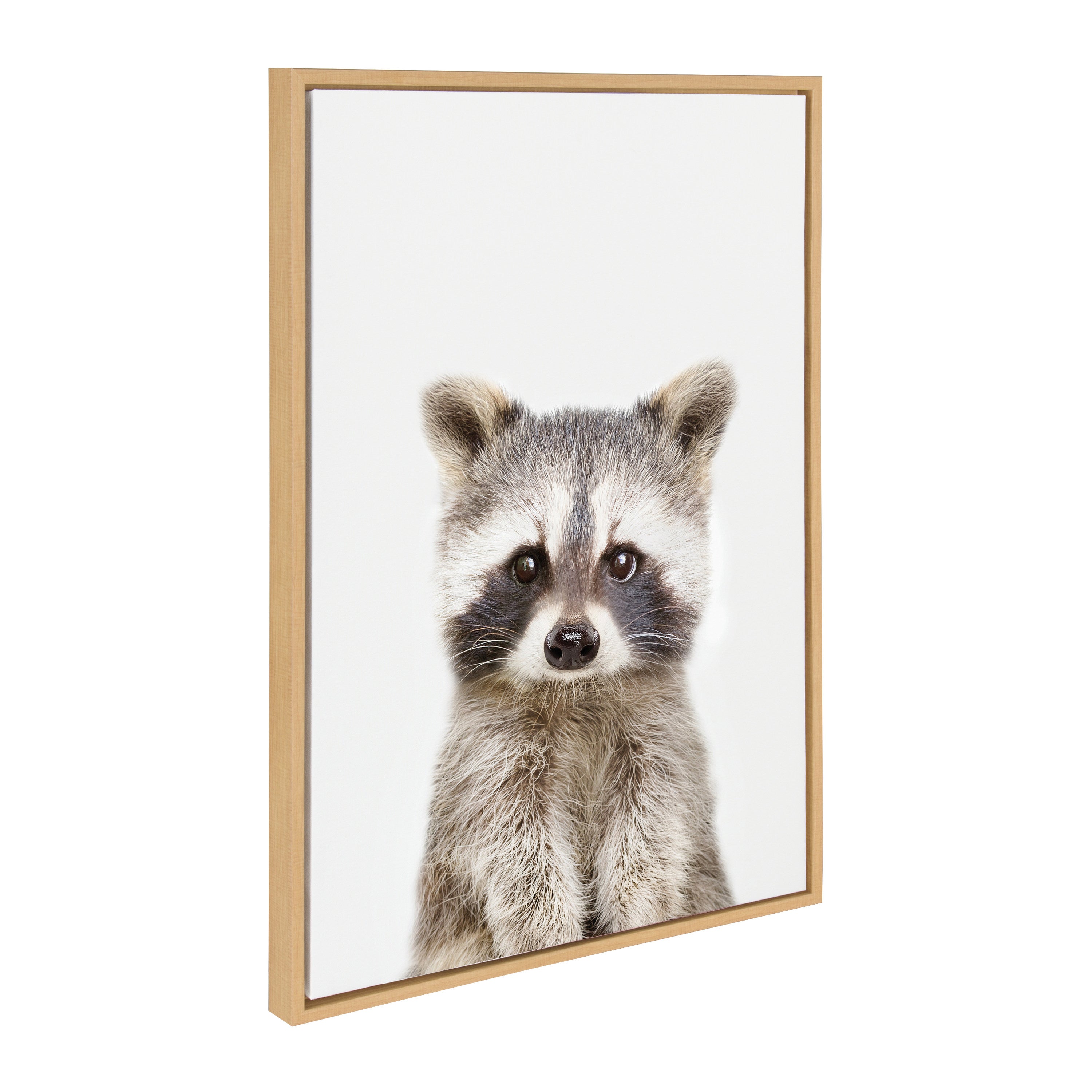 Sylvie Raccoon Framed Canvas by Amy Peterson