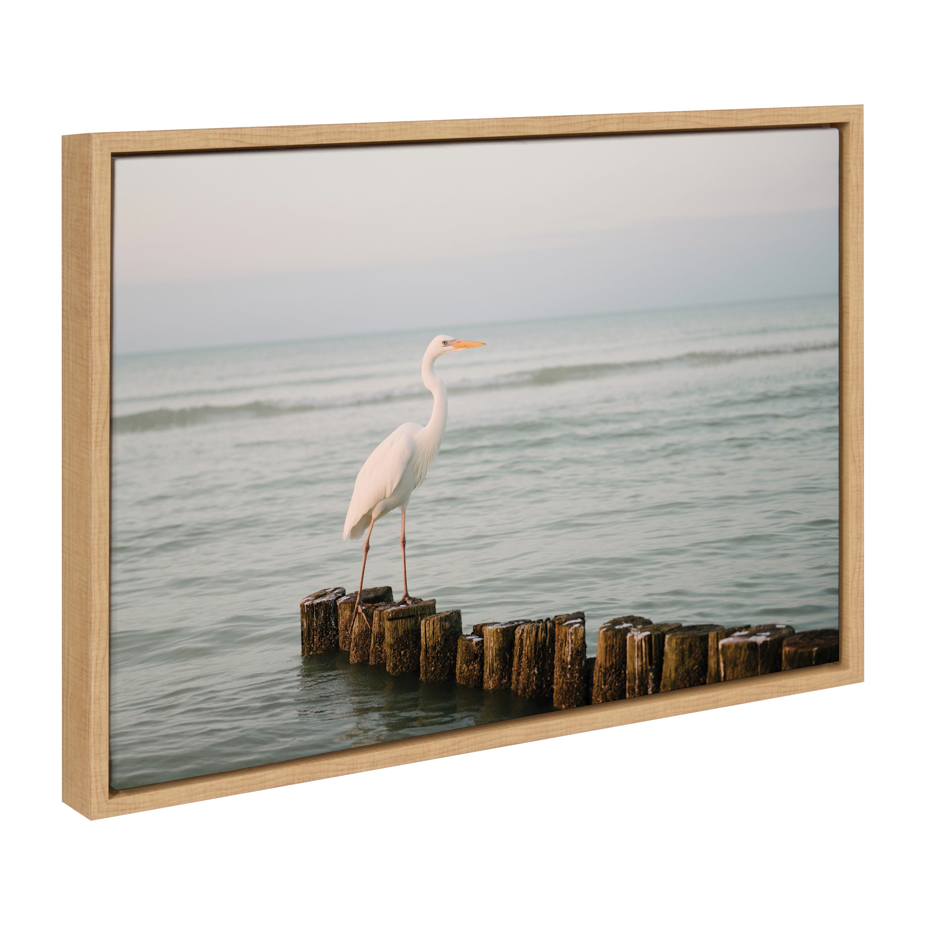 Sylvie Great White Heron Isla Holbox Framed Canvas by Crystal Lynn Collins