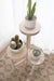 Plant Stand Whitewash 16x16x35 7