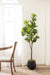 Faux Tree Black 6' 8