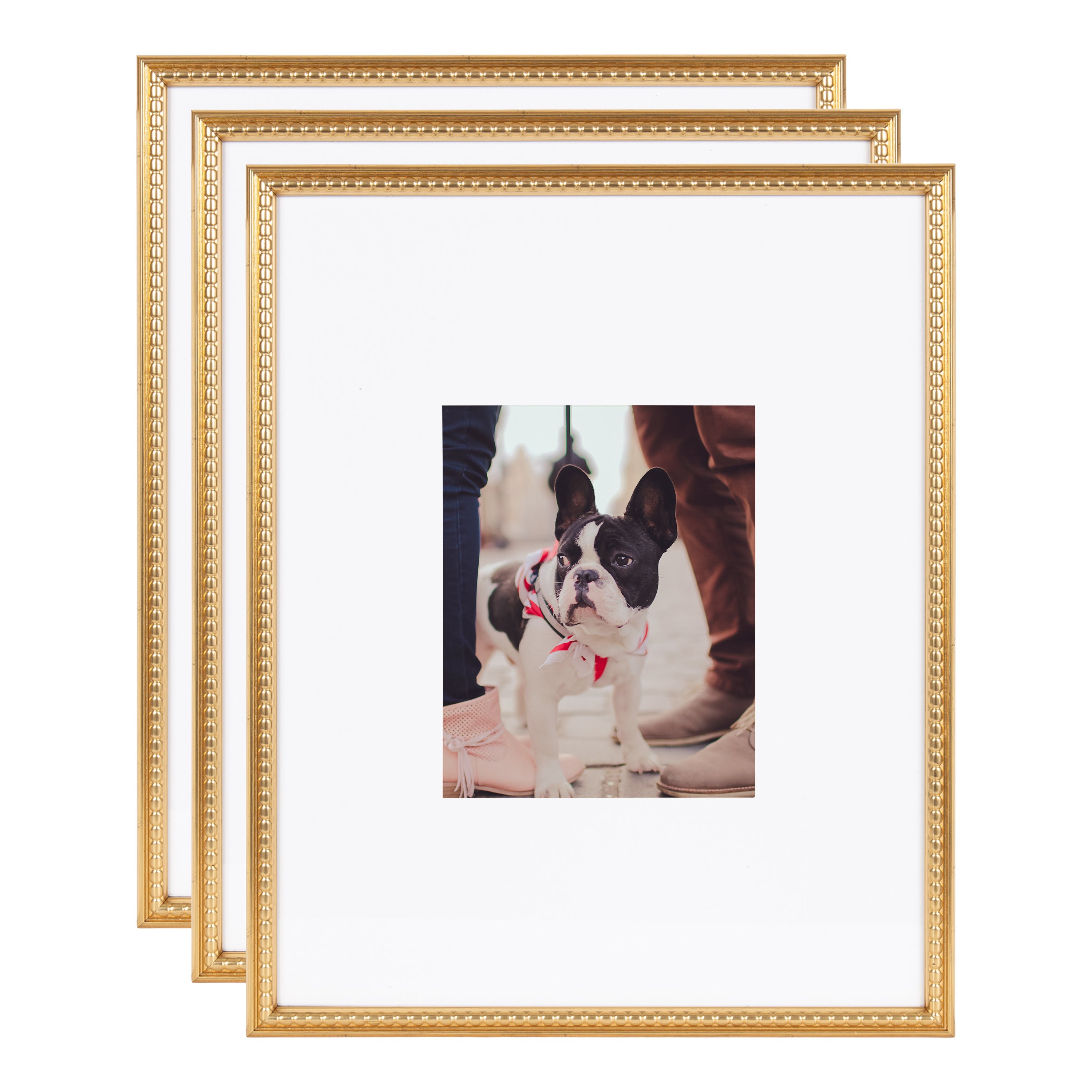 Wall Frame Gold 16x20 matted to 8x10 1