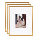 Wall Frame Gold 16x20 matted to 8x10 1