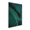 Sylvie Palm Frond II Framed Canvas by Emiko and Mark Franzen of F2Images