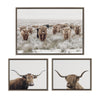 Sylvie Texas Longhorn, Highland Cow Portrait Close Color and Herd of Highland Cows Color Framed Canvas Art Set by The Creative Bunch Studio