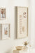 Pinboard 15x24 White 7