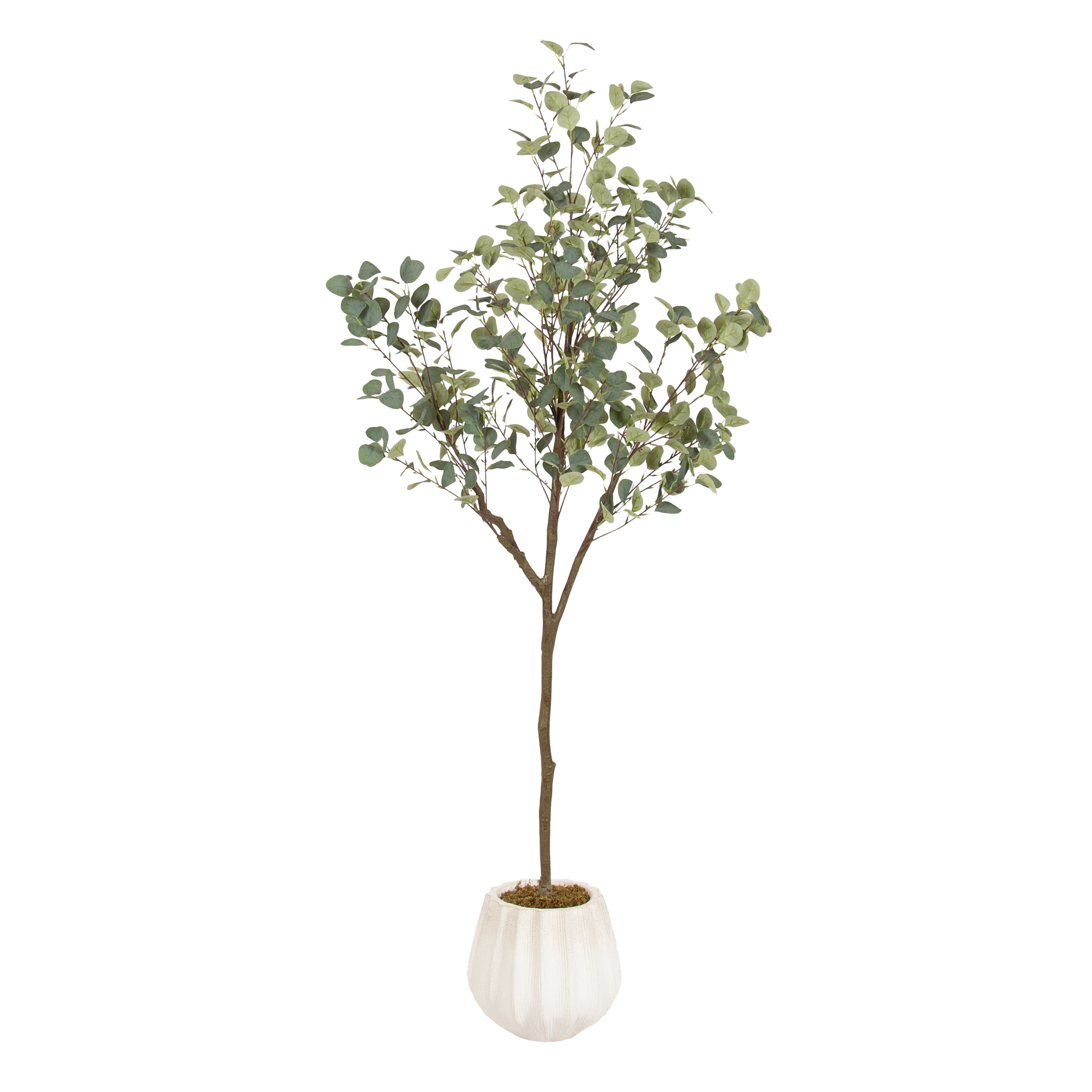 Faux Tree Distressed White 6' 1