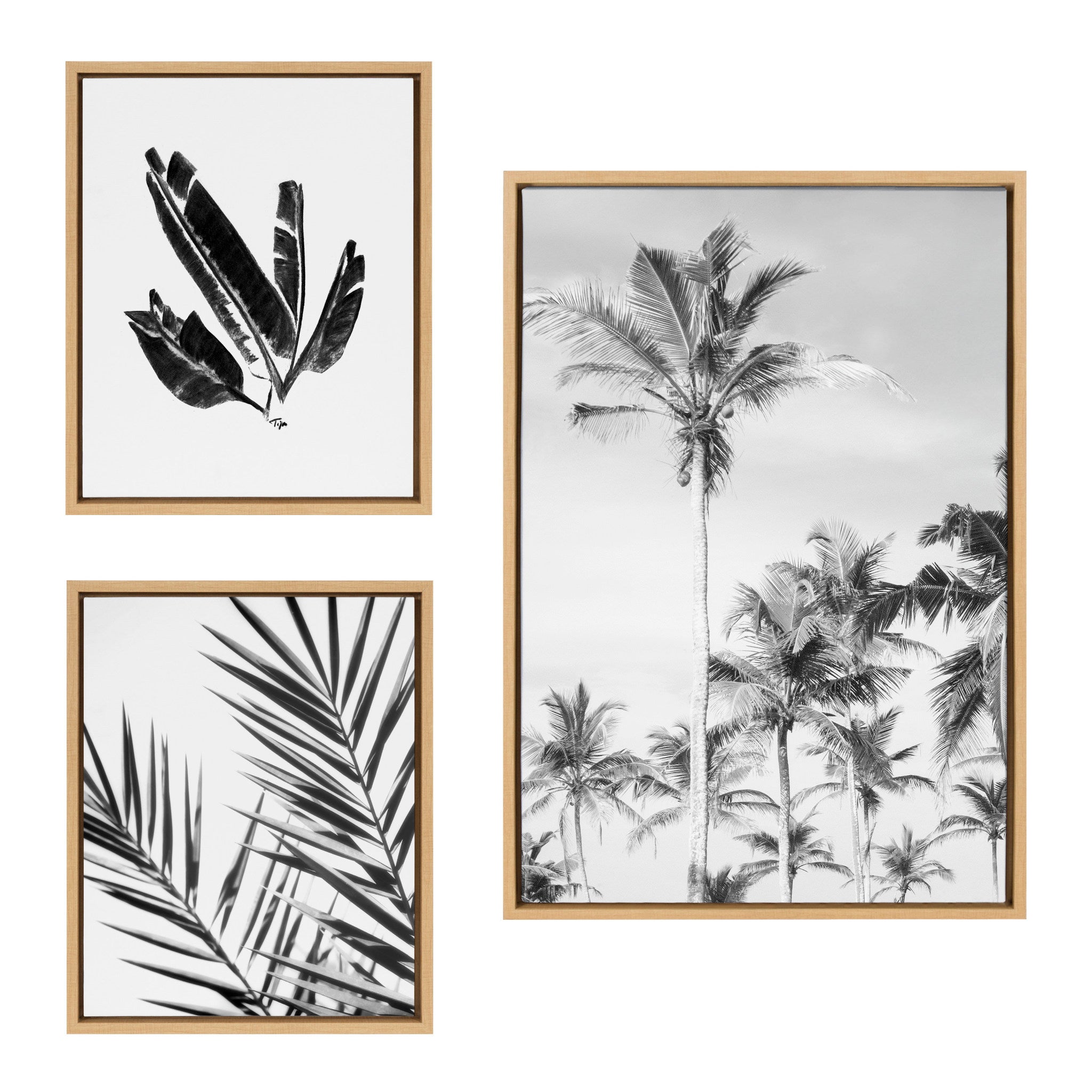 Sylvie Coastal Coconut Palm Tree Beach, 583 Banana Leaf and Palm I Black and White Framed Canvas Art Set by Various Artists