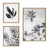 Sylvie Coastal Coconut Palm Tree Beach, 583 Banana Leaf and Palm I Black and White Framed Canvas Art Set by Various Artists