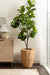 Freestanding Planter 15x15x20 Natural 6