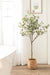 Faux Tree Green 6' 7
