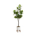 Faux Tree White Rustic Brown 6.5' 1