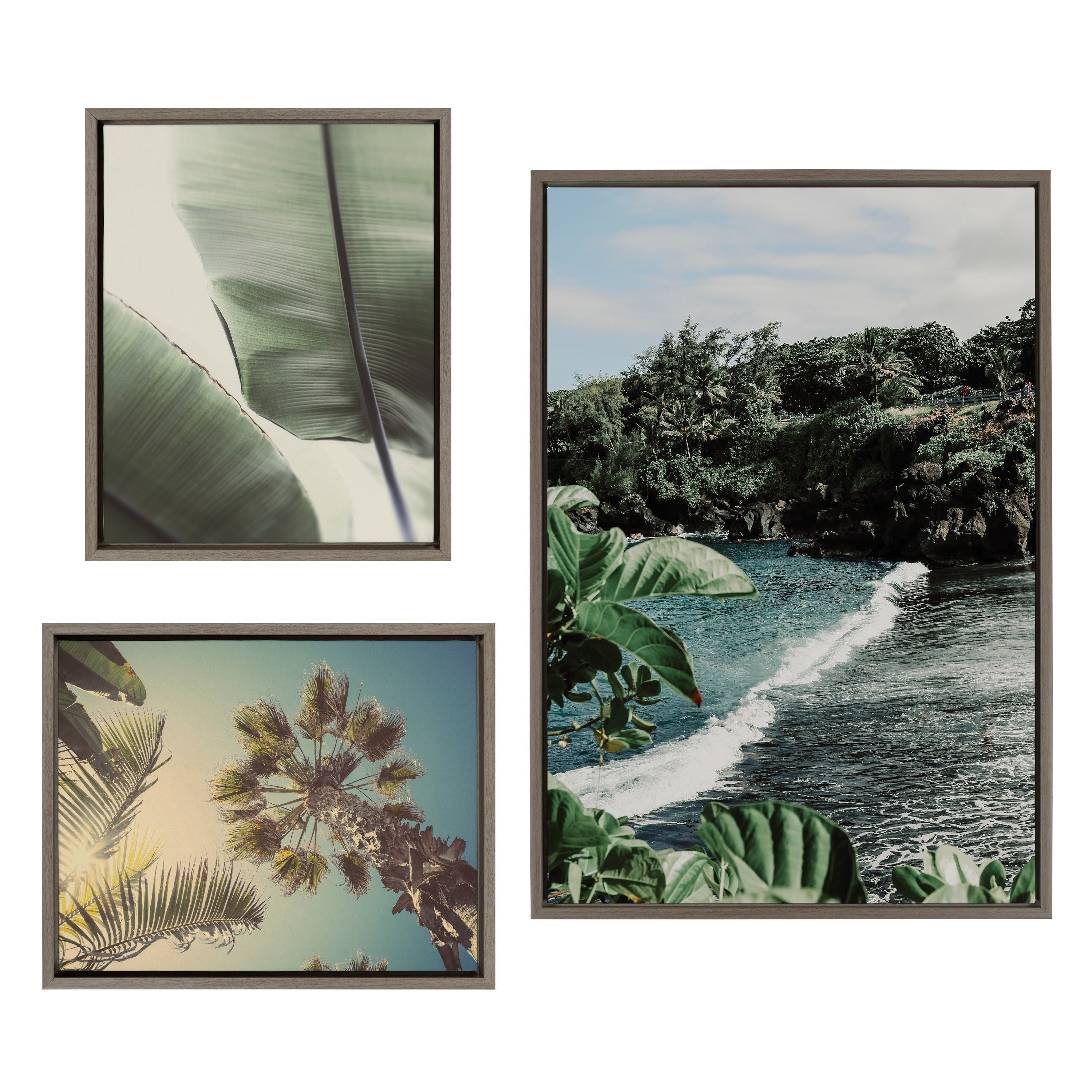 Sylvie Aloha Kai, Vintage Palms and Palm Tree Sunburst Framed Canvas Art Set by Various Artists